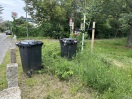 Foto: 2 übervolle herrenlose Mülltonnen 