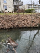 Foto: Einkaufswagen im Priorgraben 