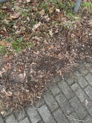 Foto: Kabelbinder von Zirkusplakaten 