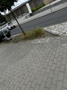 Foto: Grünflächen  
