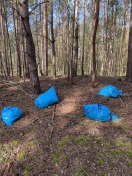 Foto: Wilde Deponie 4 Säcke  