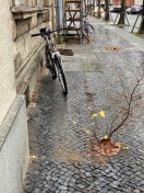 Foto: Unfallgefahr auf Fußweg  