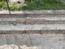 Foto: Bienennest zwischen Holztreppen 