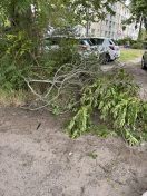 Foto: Abgebrochene und lose Äste  