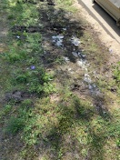 Foto: Glascontainer wurde geleert und Platz nicht gesäubert. 