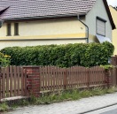 Foto: Ungepflegter Grünstreifen 