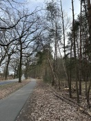 Foto: Kurz vor dem Ortseingang ist ein Baum an umfallen.  