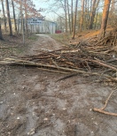 Foto: Baumstämme versperren den Weg 