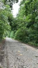 Foto: Baum droht auf die Straße zu fallen  
