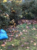 Foto: Müllsack, Laubhaufen, umbrechende Büsche auf privatem Grundstück 