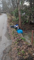 Foto: Illegale Müllablagerungen 