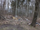 Foto: Wilde Deponie  