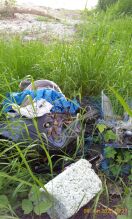 Foto: Restmüll von wildem Camping... 