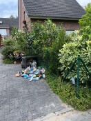Foto: Wildschweinplage 