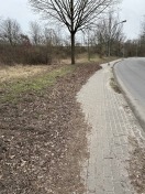 Foto: Laub und Sand auf dem Bürgersteig 