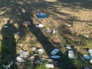 Foto: Abfall/Zerfetzter Müllsack 