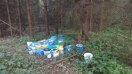 Foto: Im Wald wurden Abfall Behälter, Chemikalien und Malerreste abgestellt  