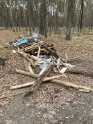 Foto: Wilde Deponie 