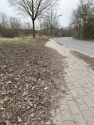 Foto: Laubberge wegräumen  