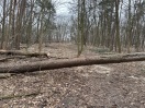 Foto: Weg blockiert  