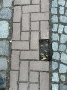 Foto: Fehlender Stein 