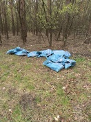 Foto: Müll 