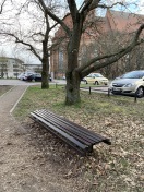 Foto: Grünpflege bitte durchführen 