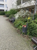 Foto: Müllbehälter heute nicht geleert 