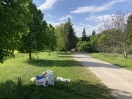 Foto: Renovierungsabfälle am Wegesrand 