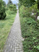 Foto: Und es wächst weiter (siehe 290926) 
