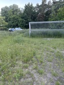 Foto: Bolzplatz zu gewachsen  