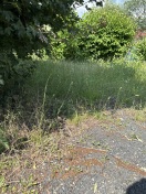 Foto: Ungepflegter spielplatz 