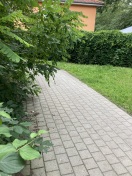 Foto: Kaum ein Durchkommen am Weg 