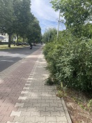 Foto: Fuß-/Radweg am Glasower Damm 