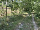 Foto: Umgestürzter Baum 