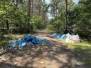 Foto: Müll im Wald 