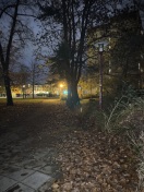 Foto: Defekt 