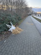 Foto: Müll nach Fussballspiel 