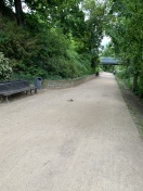 Foto: Rattenplage an der St annen Promenade 