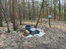 Foto: Wilde Deponie 