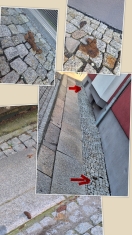 Foto: Unzählige Hundehaufen  